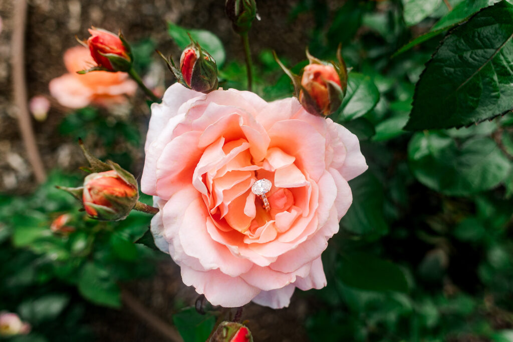Romantic spring engagement photos at Lauritzen Gardens in Omaha.