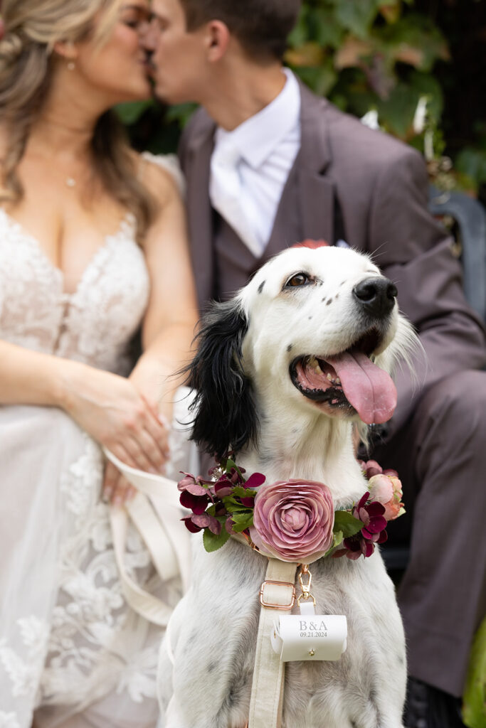 A chic, downtown omaha wedding at Lucile's in the Old Market featuring true color and black and white photography by Claire Katan Creative.