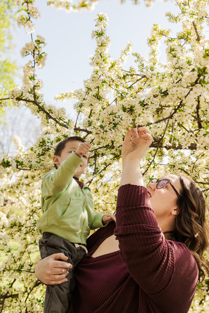 Beautiful spring flowers surrounding a family during a spring mini photo session at the Omaha OPPD Arboretum.