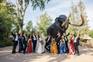 Michelle and Devin's Luxury Wedding at the Omaha Henry Doorly Zoo's Harper Event Center photographed by Claire Katan Creative
