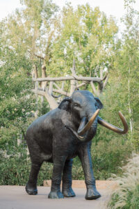 Michelle and Devin's Luxury Wedding at the Omaha Henry Doorly Zoo's Harper Event Center photographed by Claire Katan Creative