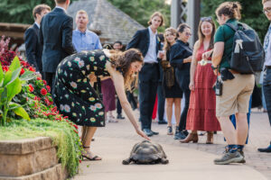 Michelle and Devin's Luxury Wedding at the Omaha Henry Doorly Zoo's Harper Event Center photographed by Claire Katan Creative