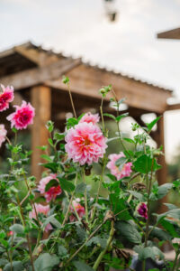 Michelle and Devin's Luxury Wedding at the Omaha Henry Doorly Zoo's Harper Event Center photographed by Claire Katan Creative